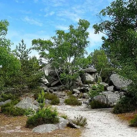 Apartment Le France - Les Jardins Du Lys - Ideal Insead Fontainebleau